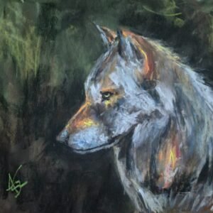 darkness beneath the moon