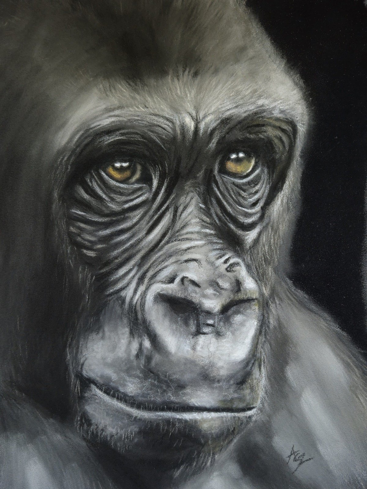 aga szczuka pastel art 12