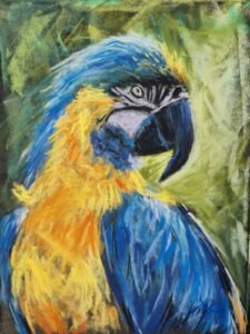 aga szczuka pastel art 2