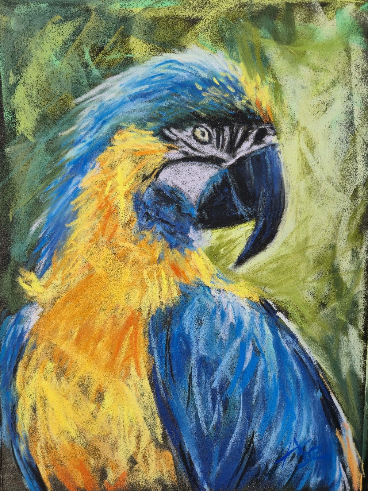 aga szczuka pastel art 2