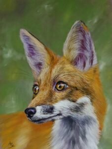 aga szczuka pastel art 23