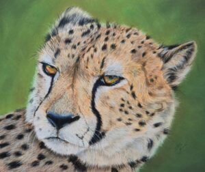 aga szczuka pastel art 24