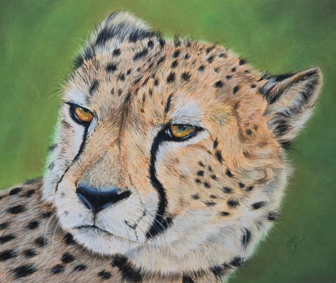 aga szczuka pastel art 24