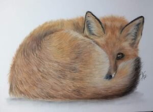 aga szczuka pastel art 26