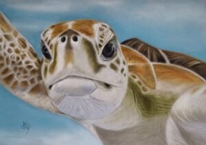 aga szczuka pastel art 27