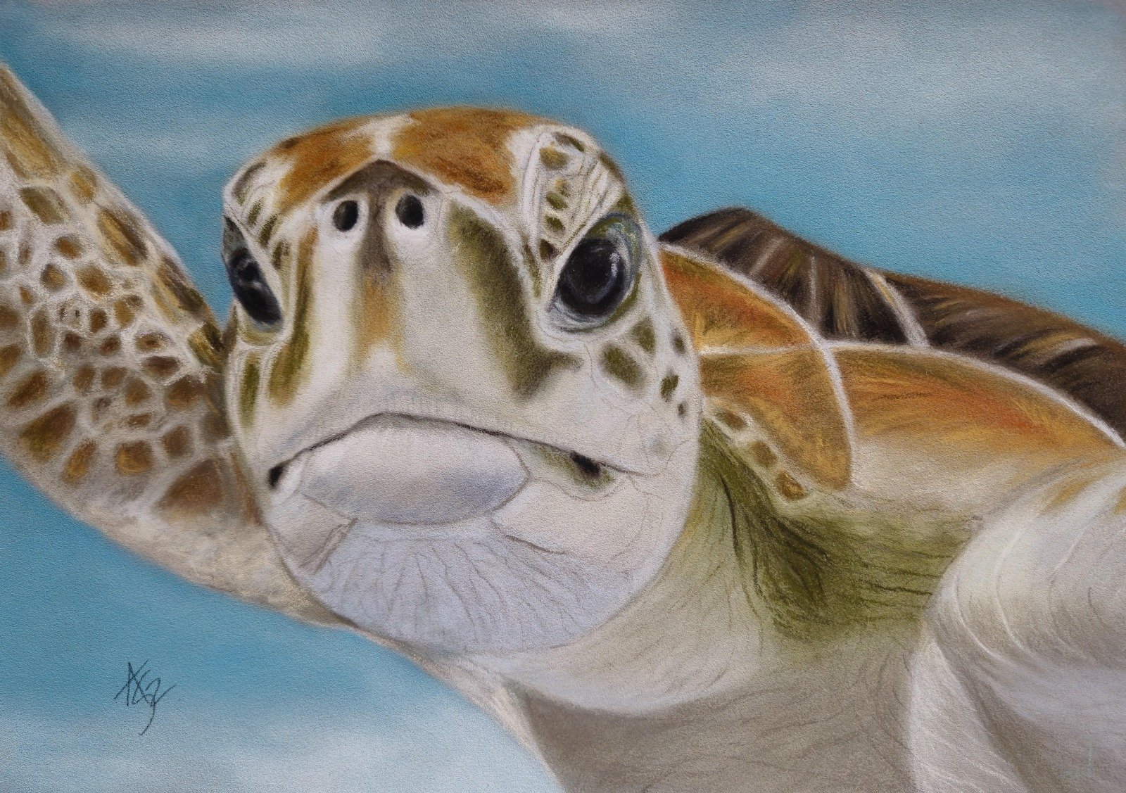 aga szczuka pastel art 27