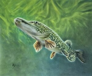 aga szczuka pastel art 30