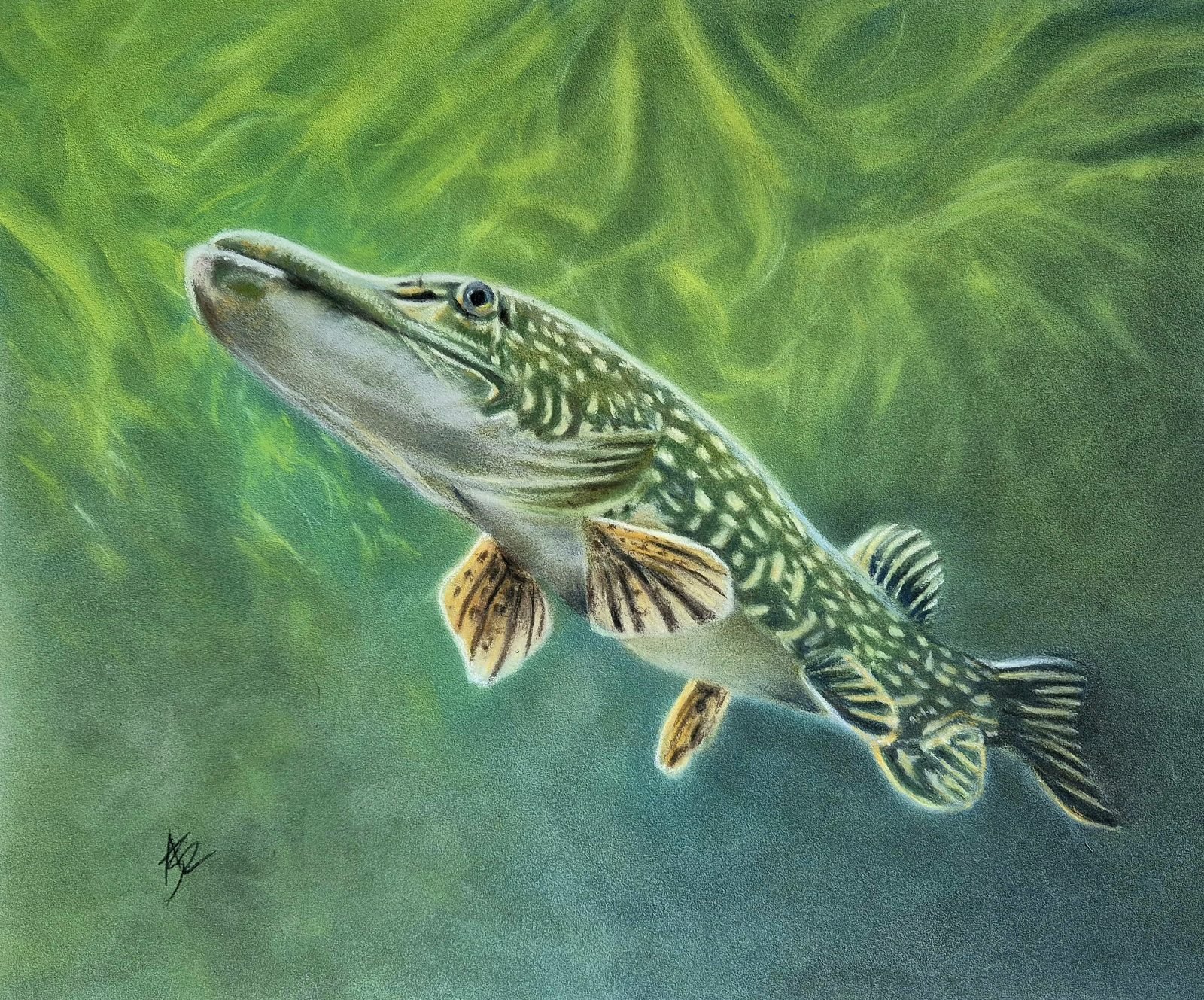 aga szczuka pastel art 30