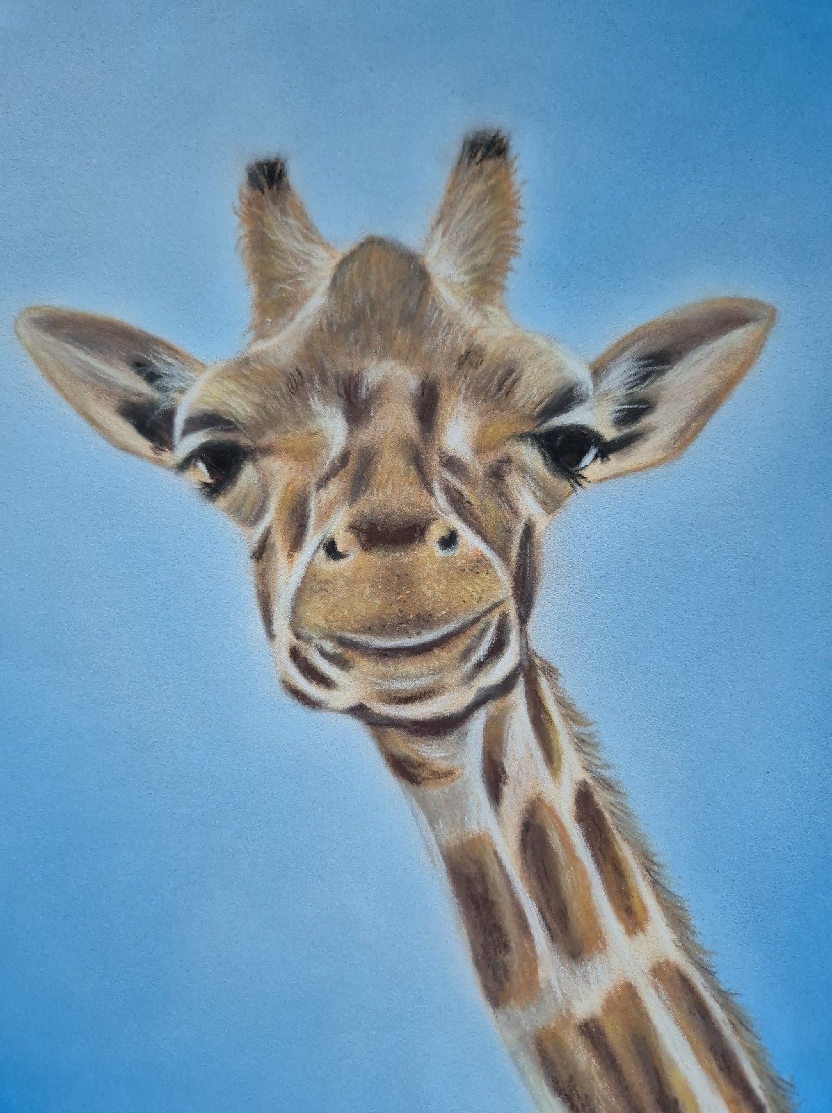 aga szczuka pastel art 31