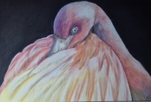 aga szczuka pastel art 32