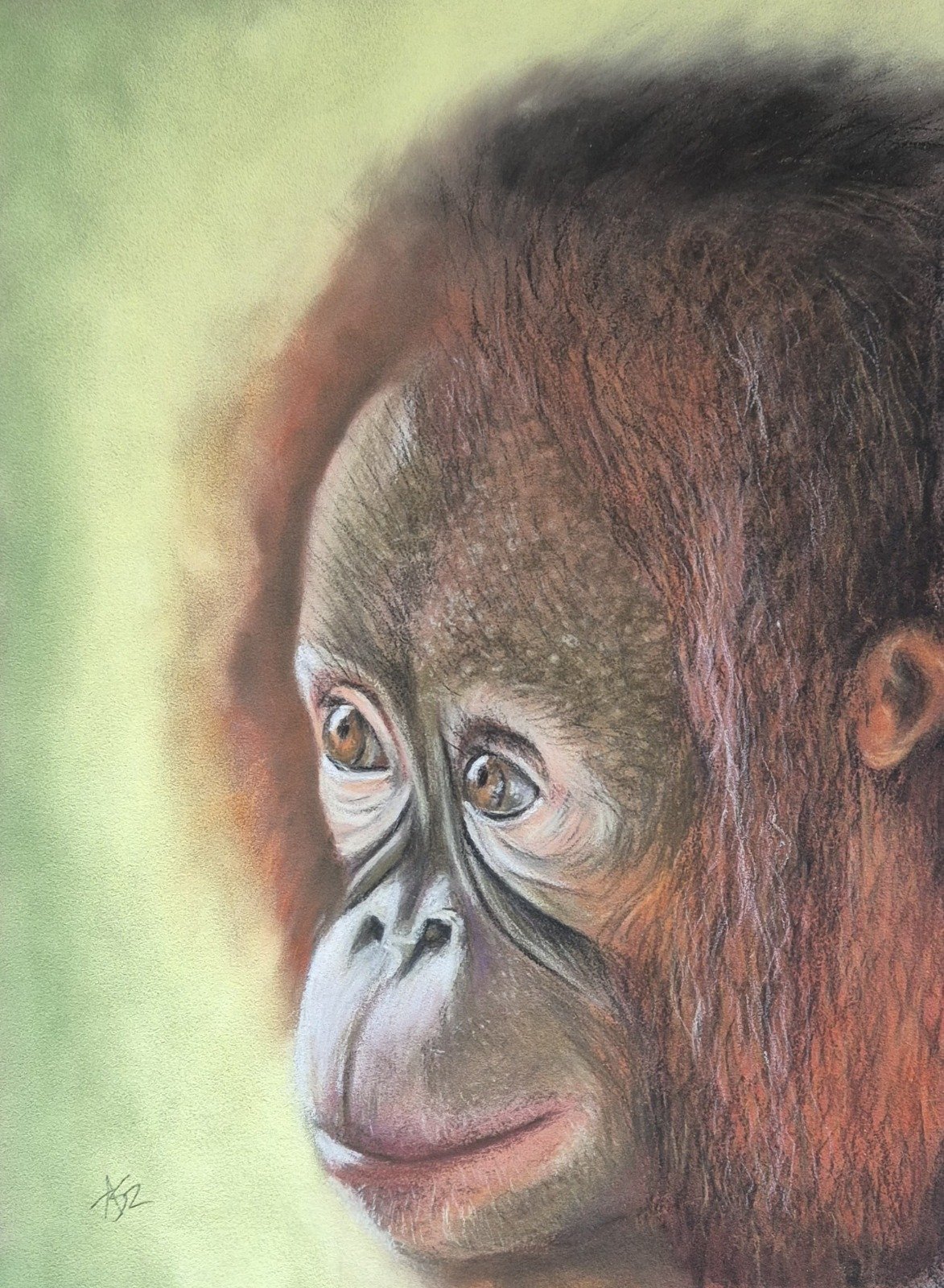 aga szczuka pastel art 33