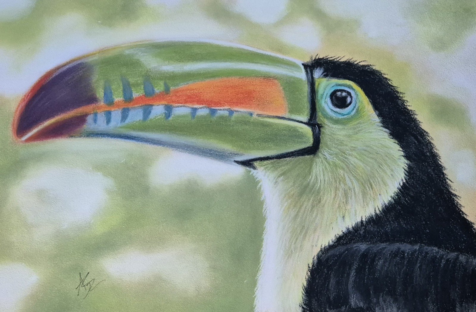 beak of the rainbow beak of the rainbow