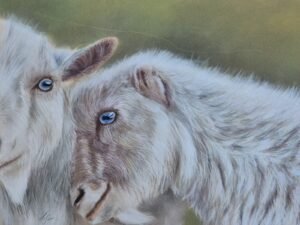 aga szczuka pastel art 36