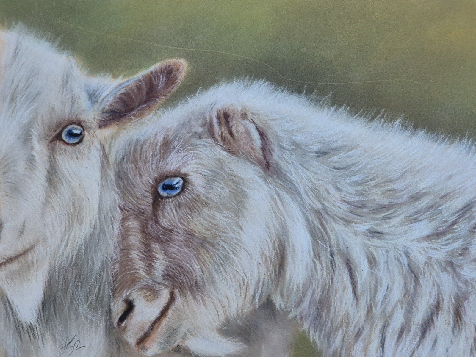 aga szczuka pastel art 36