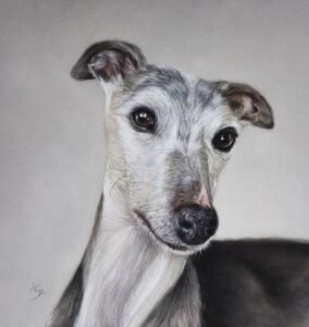 aga szczuka pastel art 39