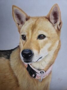 aga szczuka pastel art 47