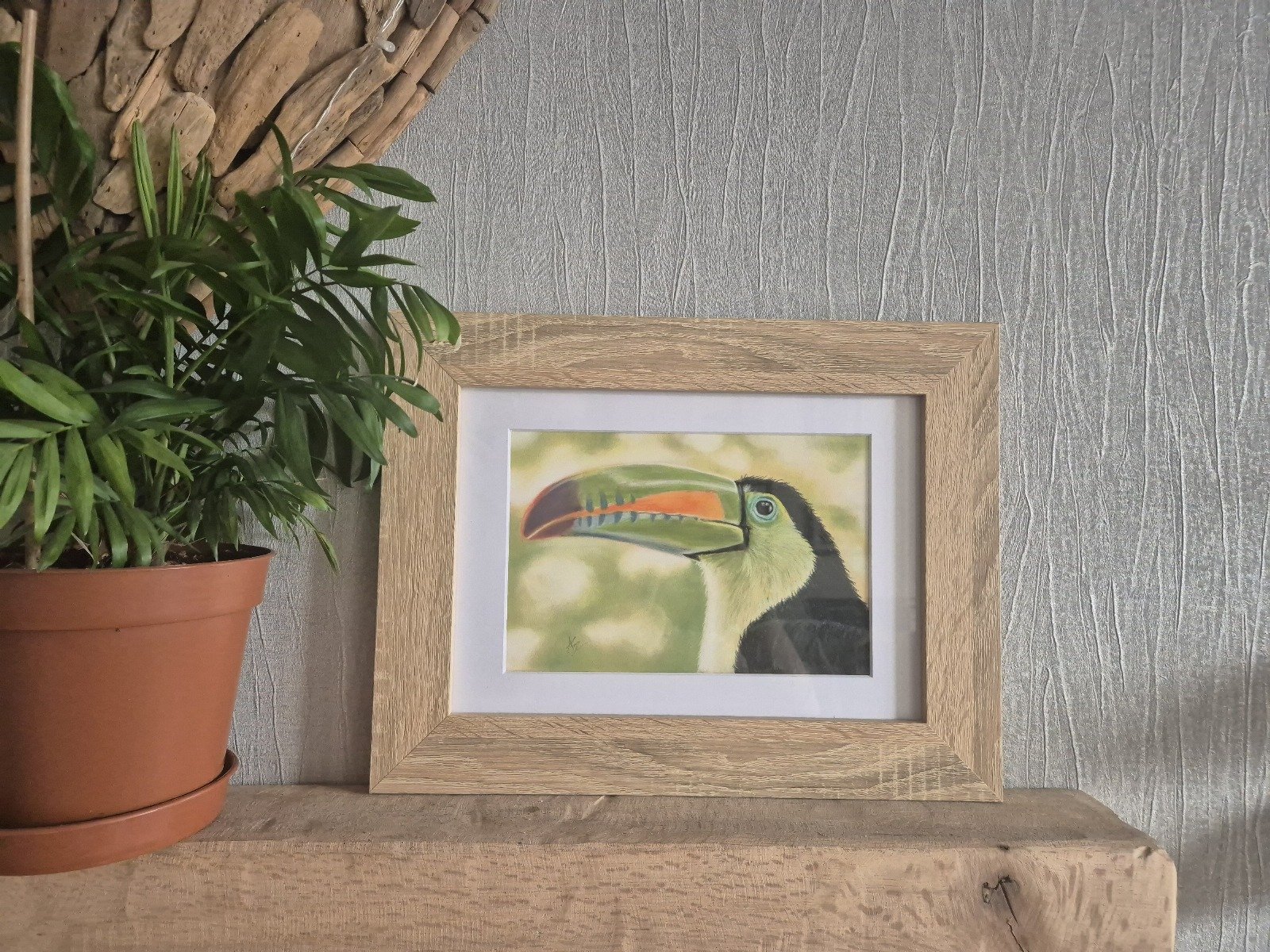 beak of the rainbow beak of the rainbow