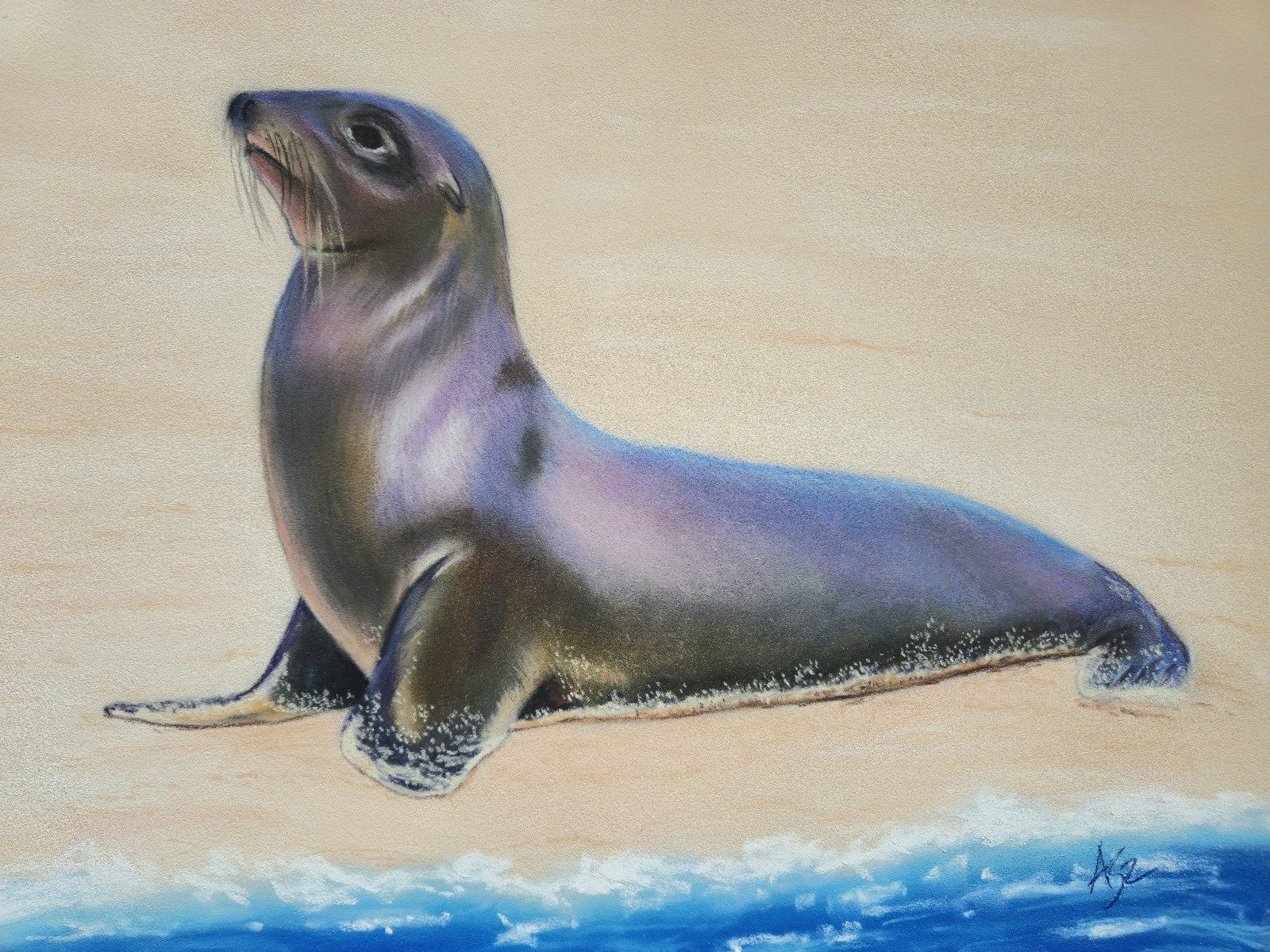 seal of solitude seal of solitude