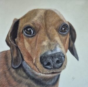 aga szczuka pastel art 54