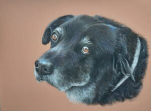 aga szczuka pastel art 55