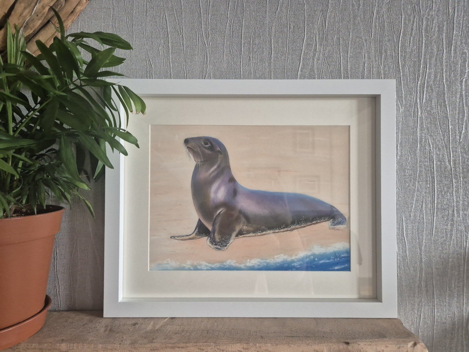 seal of solitude seal of solitude