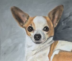 aga szczuka pastel art 60