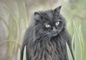 aga szczuka pastel art 61