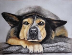 aga szczuka pastel art 62