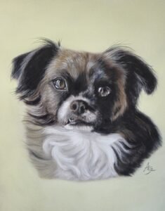 aga szczuka pastel art 63