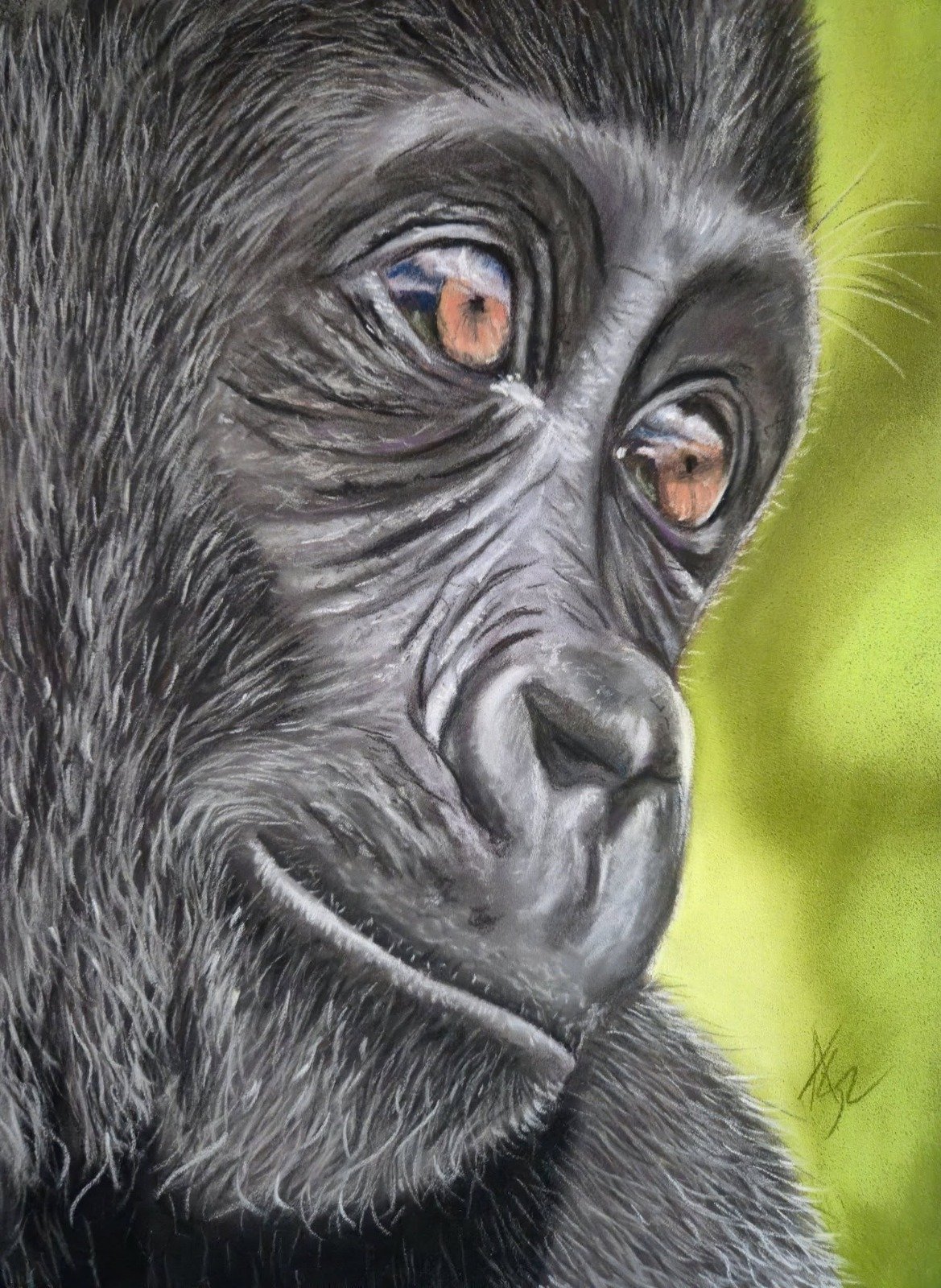 The Eyes of Wonder The Eyes of Wonder painting of a young gorilla